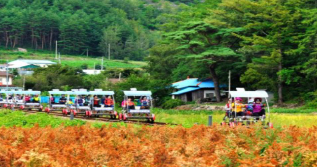 정선 레일바이크