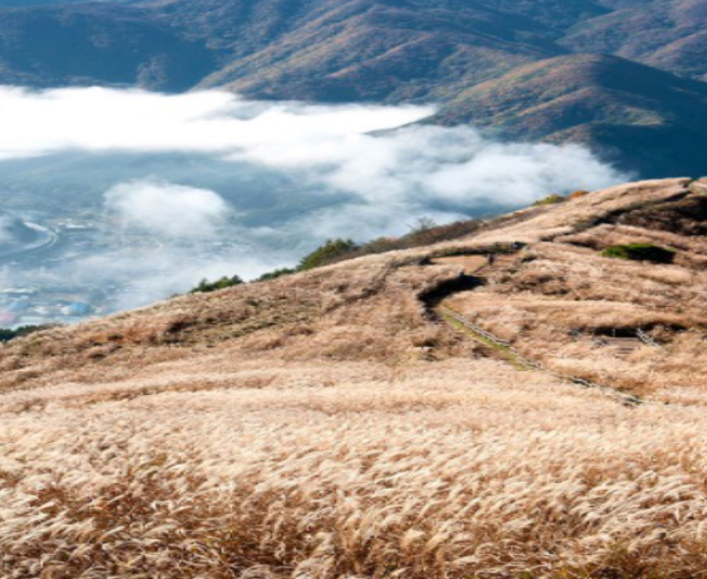 민둥산등산로